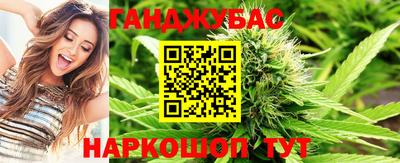 Альфа ПВП Гатчина