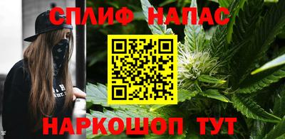 Альфа ПВП Гатчина