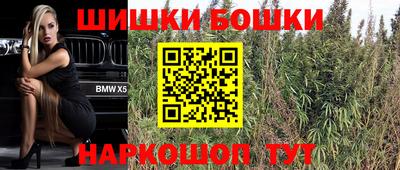 Альфа ПВП Гатчина