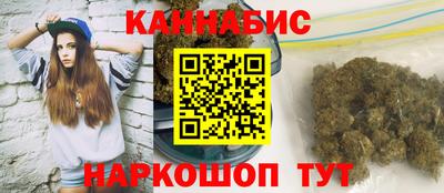Альфа ПВП Гатчина