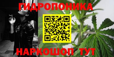 Альфа ПВП Гатчина