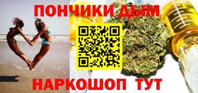 Альфа ПВП Гатчина