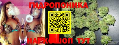 винт Гай