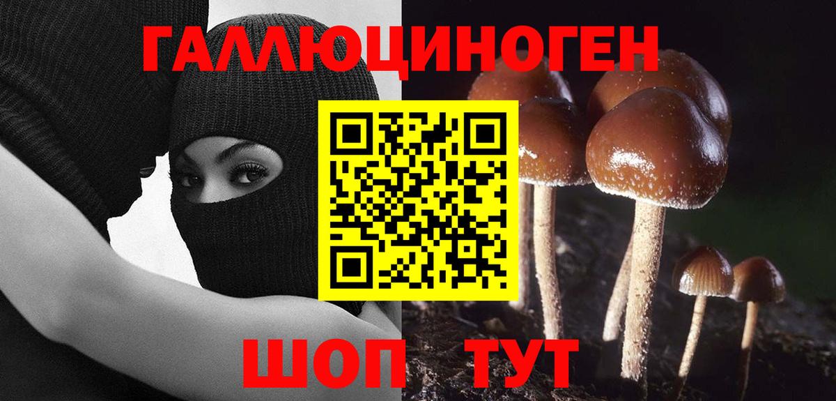 Галлюциногенные грибы мицелий  Вход с VPN  Горячий Ключ  Галлюциногенные грибы Magic Shrooms 