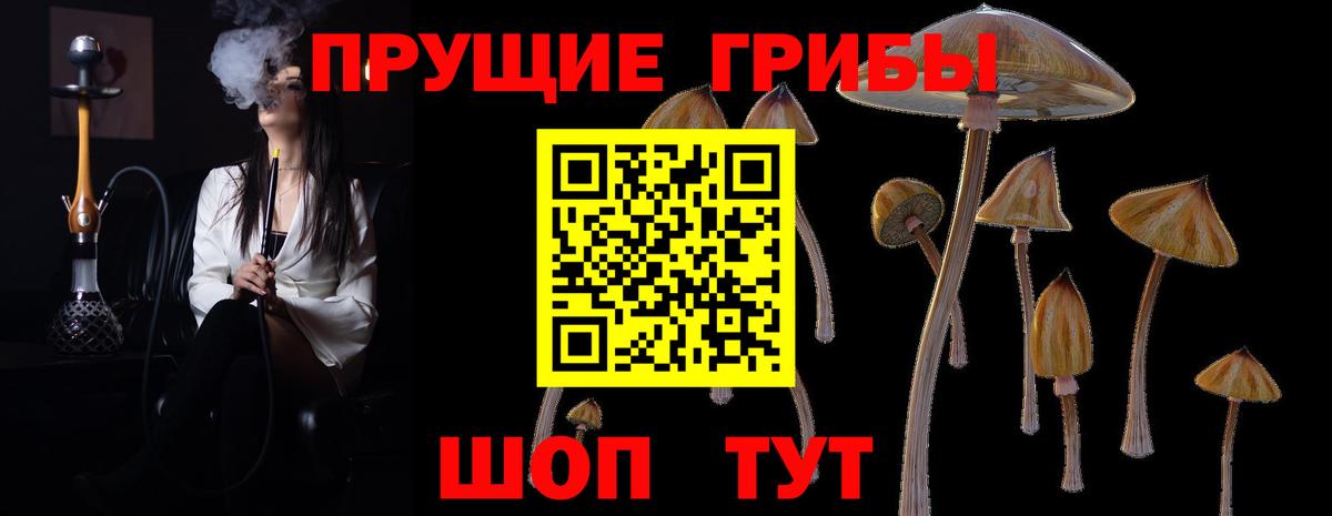 Псилоцибиновые грибы ЛСД Горячий Ключ